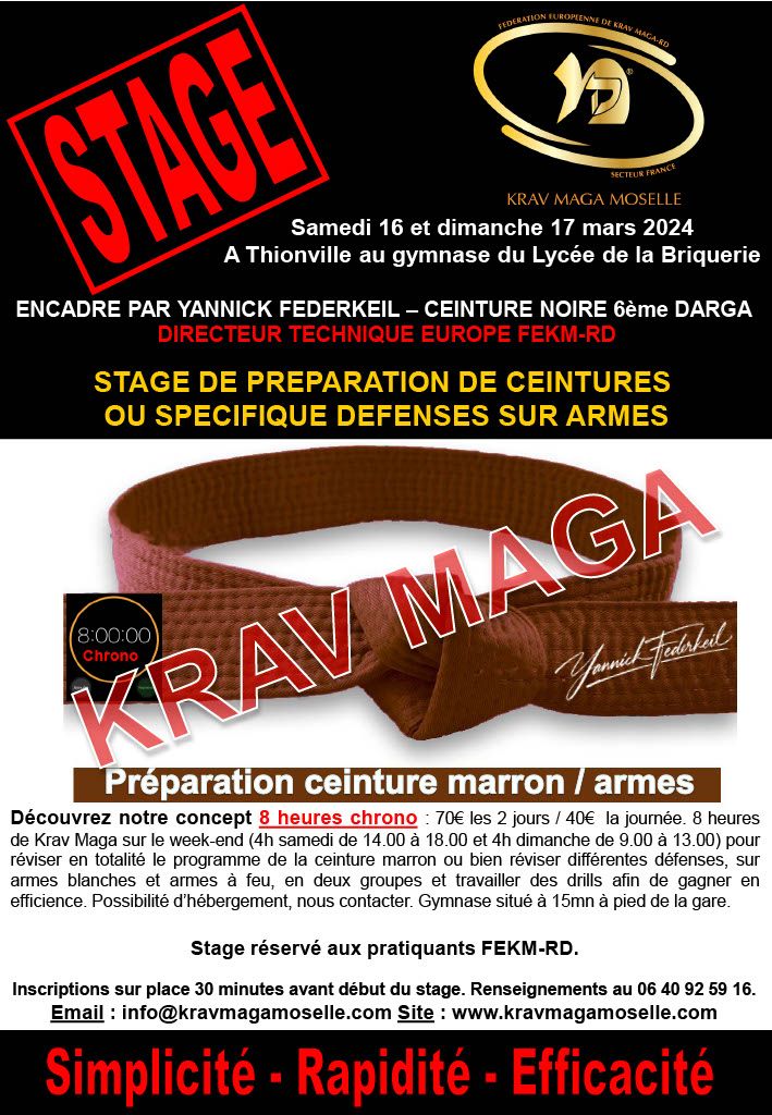 Preparation of the brown belt + specific work weapons - Thionville